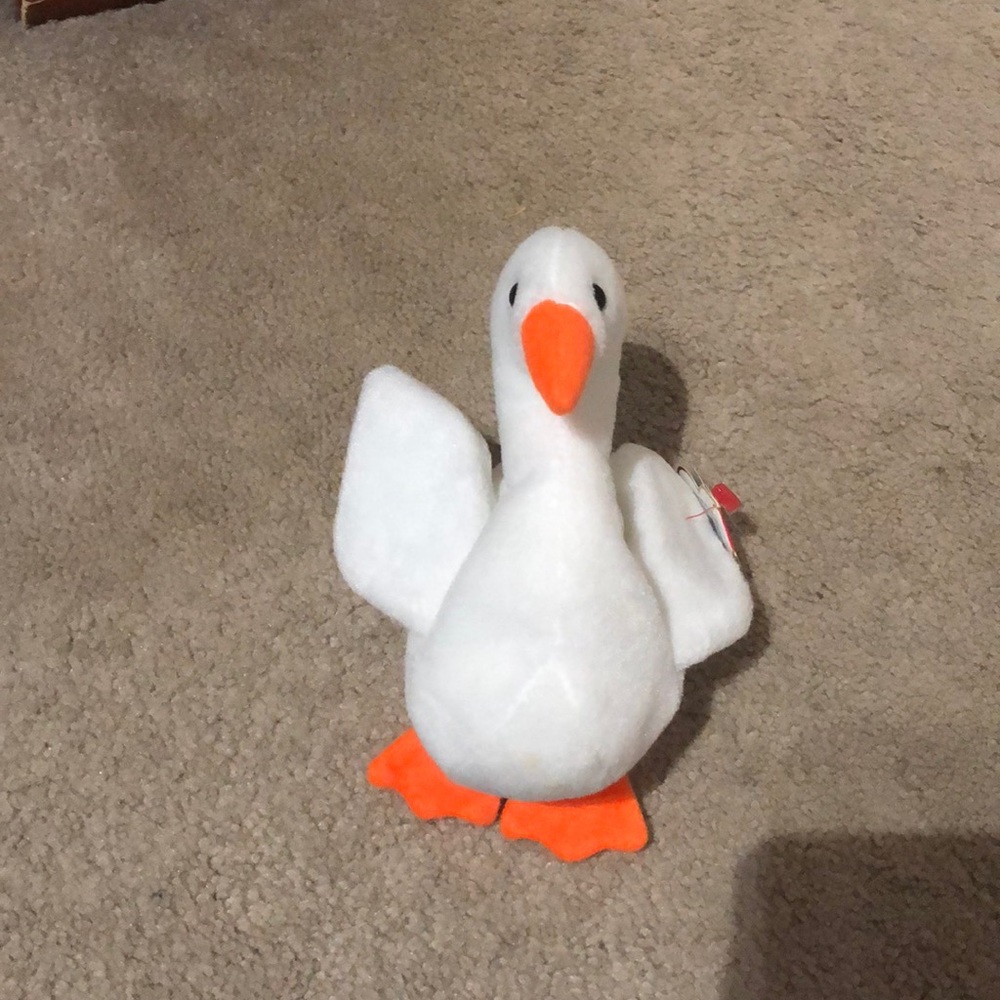 Gracie the bird